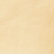 Ткань DOMUS cream brulee