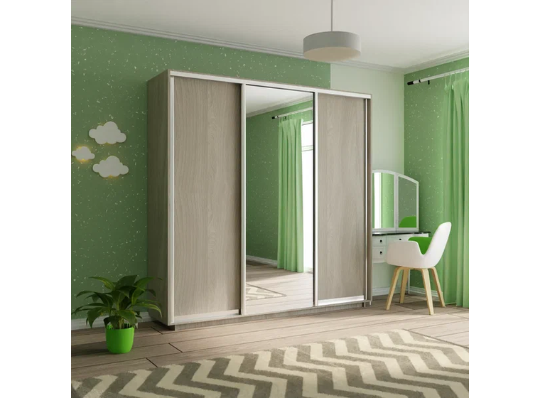 Шкаф-купе Экспресс 3-х дверный (дсп/зеркало/дсп)